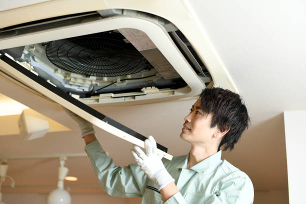 Best Affordable Air Duct Cleaning  in Whiteville, TN