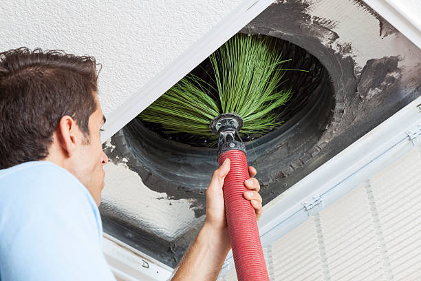 Best Local Air Duct Cleaning Services  in Whiteville, TN